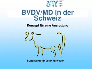 bvdv md in der schweiz