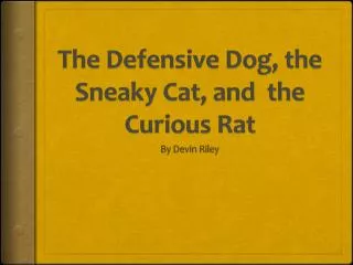 The Defensive Dog, the Sneaky Cat, and the Curious Rat