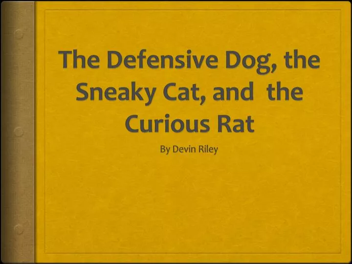 the defensive dog the sneaky cat and the curious rat