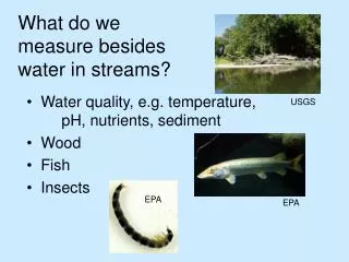 What do we measure besides water in streams?