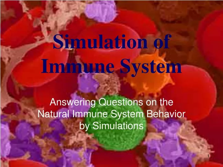 simulation of immune system