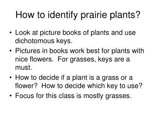 How to identify prairie plants?