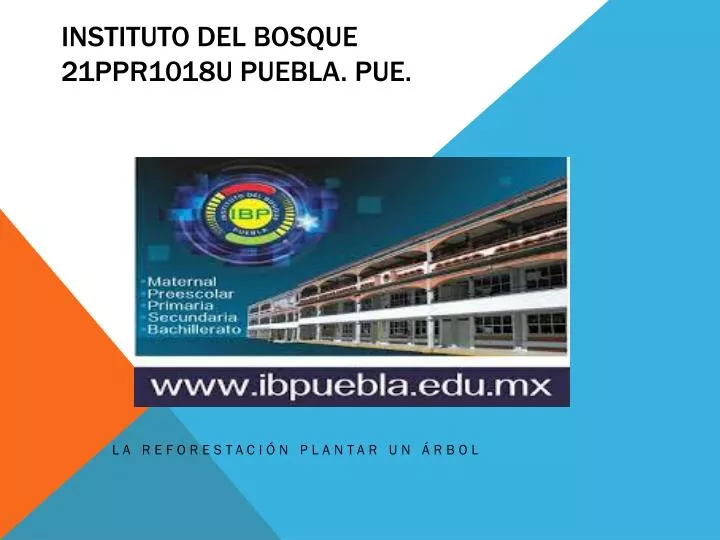 instituto del bosque 21ppr1018u puebla pue