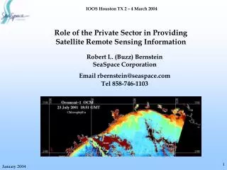 Role of the Private Sector in Providing Satellite Remote Sensing Information