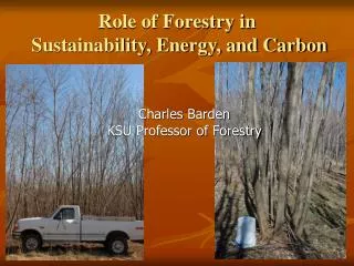 Role of Forestry in Sustainability, Energy, and Carbon