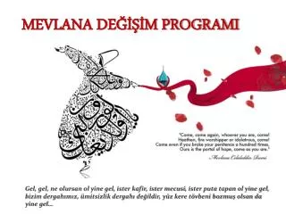 mevlana de m programi