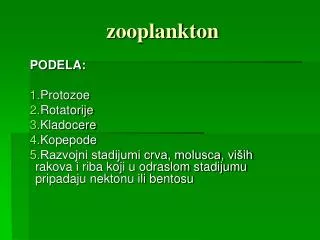 zooplankton