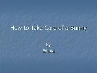 How to Take Care of a Bunny