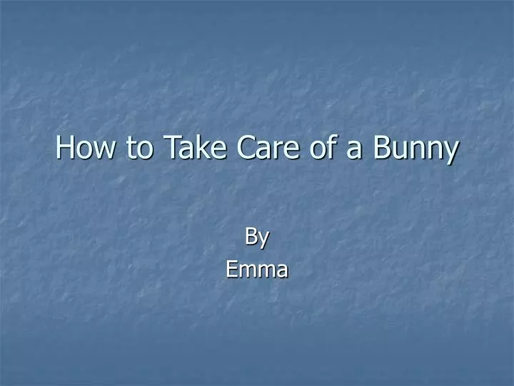how to take care of a bunny