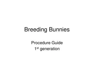 Breeding Bunnies