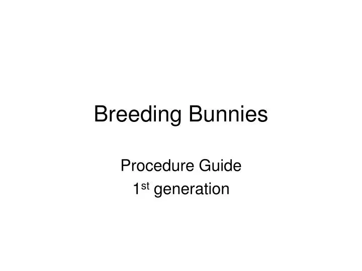 breeding bunnies