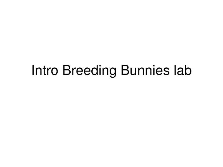 intro breeding bunnies lab