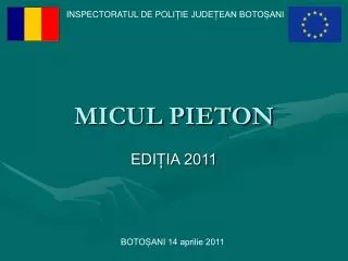 micul pieton