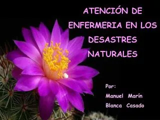 atenci n de enfermeria en los desastres naturales