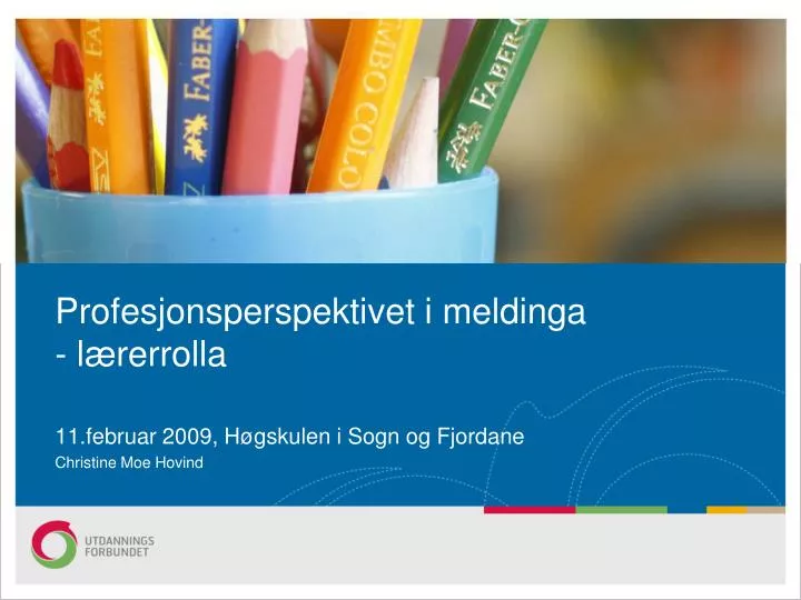 profesjonsperspektivet i meldinga l rerrolla