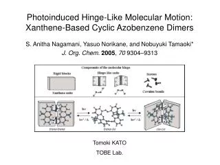 Photoinduced Hinge-Like Molecular Motion: Xanthene-Based Cyclic Azobenzene Dimers