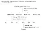 Efficient Purification Protocol for Decursinol Angelate and Decursin from Angelicae Gigantis Radix - slide 1