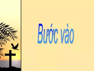 b c v o