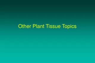Other Plant Tissue Topics
