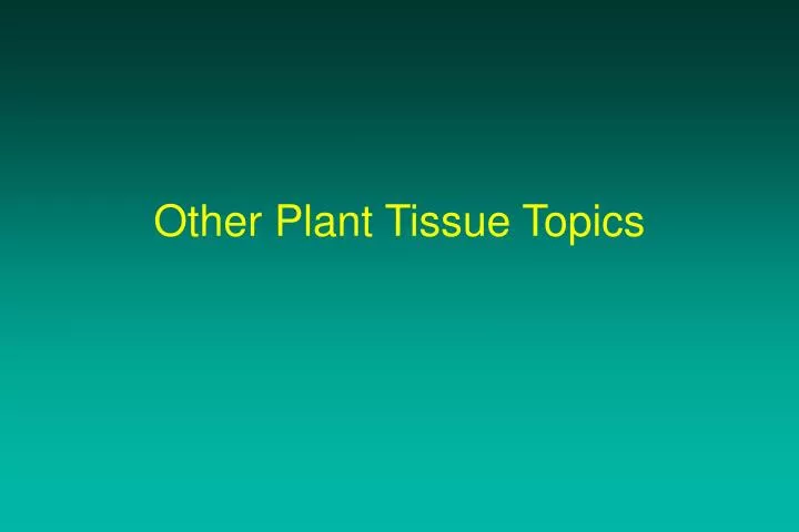 other plant tissue topics