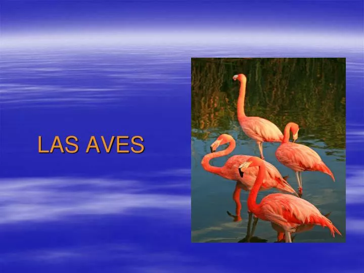 las aves