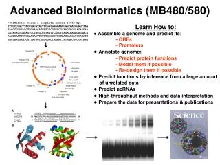 Advanced Bioinformatics (MB480/580)