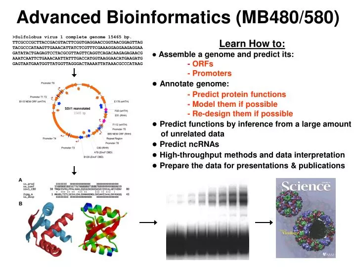 advanced bioinformatics mb480 580