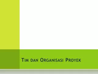 tim dan organisasi proyek