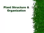 Plant Structure &amp; Organization - slide 1