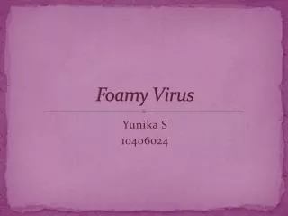 foamy virus