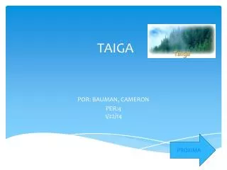 taiga