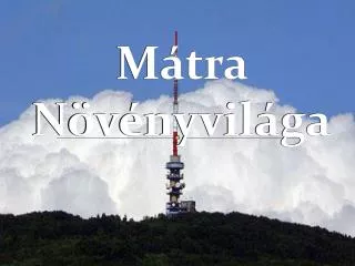 m tra n v nyvil ga