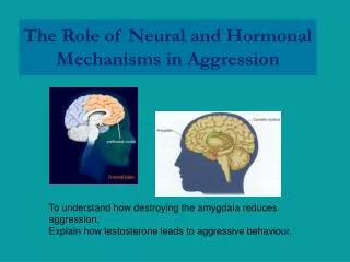 The Role of Neural and Hormonal Mechanisms in Aggression