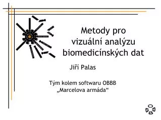 Metody pro vizuální analýzu biomedicínských dat