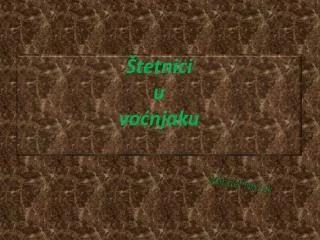 tetnici u vo njaku