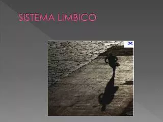 sistema limbico