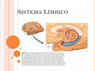 sistema l mbico