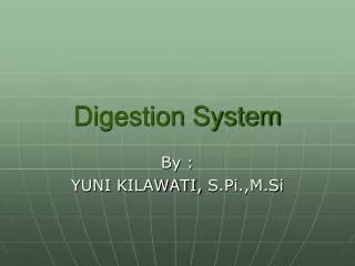 digestion system