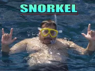 SNORKEL