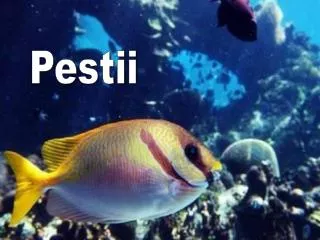 Pestii