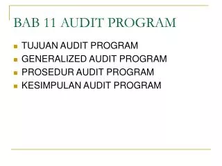 bab 11 audit program