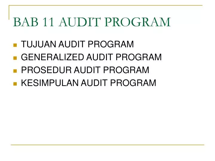 bab 11 audit program