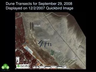 Dune Transects for September 29, 2008 Displayed on 12/2/2007 Quickbird Image