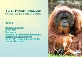 AS/A2 Primate Behaviour Information and guidance for teachers Contents Learning Objectives