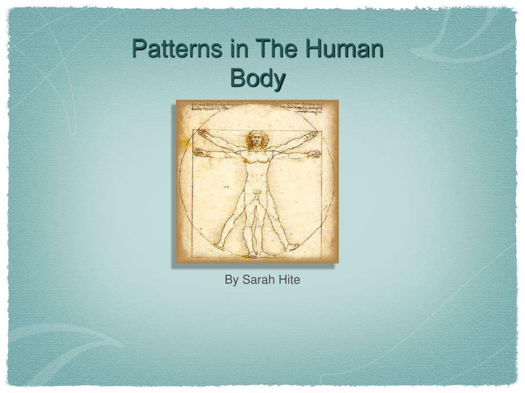 Body Patterns Activity PPT - Understanding Patterns in Human Body Systems: Circulatory ...