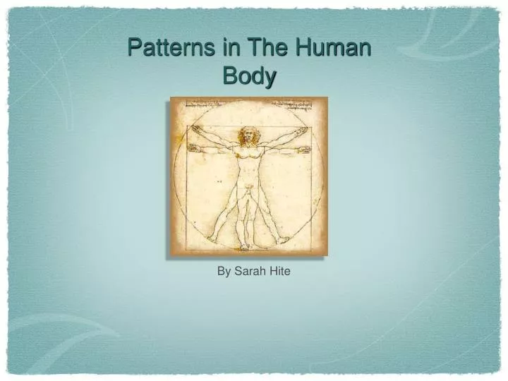 patterns in the human body