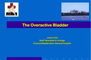 The Overactive Bladder
