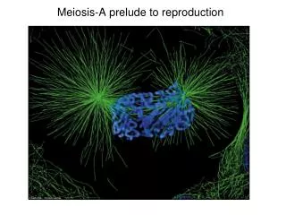 Meiosis-A prelude to reproduction