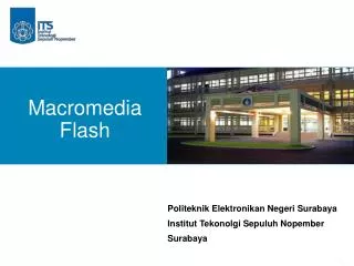macromedia flash