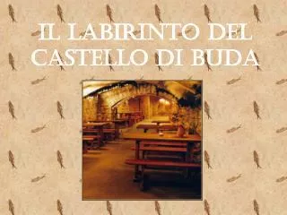 il labirinto del castello di buda